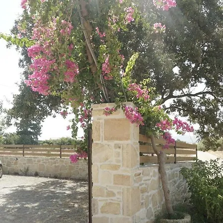Ioanna - Oasis Appartamento Kokkinos Pirgos (Heraklion)